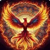 www.tiktok.comphoenixs