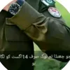 fasial_a1