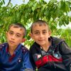mehdiismayl85