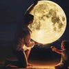gondal_4448