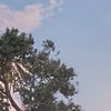 phat_2336