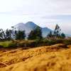 suaraalamindo