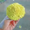 hasaneenakeel