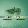 mustoguppyfarm