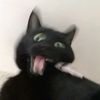 yoshy1803
