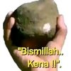 mungkin495