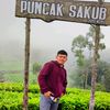 subalsibul