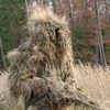 bushwookieyt