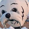 my_dog_reginald