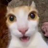 bellzeebub_