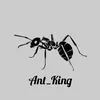 ant_kinq