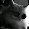mr. A