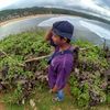 dek_mbrol
