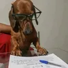 stfnny_a
