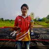 khasbytriaa