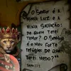 willqrz7