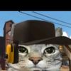 zazucat70