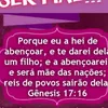 silva0_21