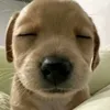 empiehaybuonn_06