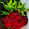 selim.reza338