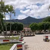 mariaaparicidasou5