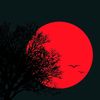 enes_a49