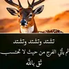fati_ghali2820