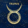 tauruswonders256