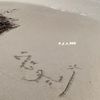 a_y_a_0088