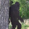 brewerlakesquatch