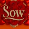madame.sow886