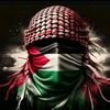 sayedamer538
