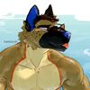 rykershep