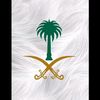 a7madalroosy