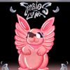 pulga_gg20rt