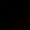balsamicrex_321