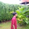 muhammad_fiqih210