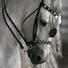 areen181