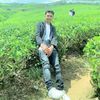 younggwii_fa12