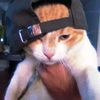 chil_jar