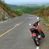 bog_sa2