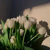 taawan_6289