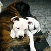 user231039722247