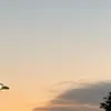 ssyyi_25