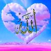 drhanifnews