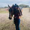 cowgirlkelle