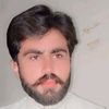 raja.shoaib3130