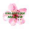 unladylikemeandco