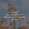 user4105334885219