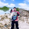 adisaputra_244